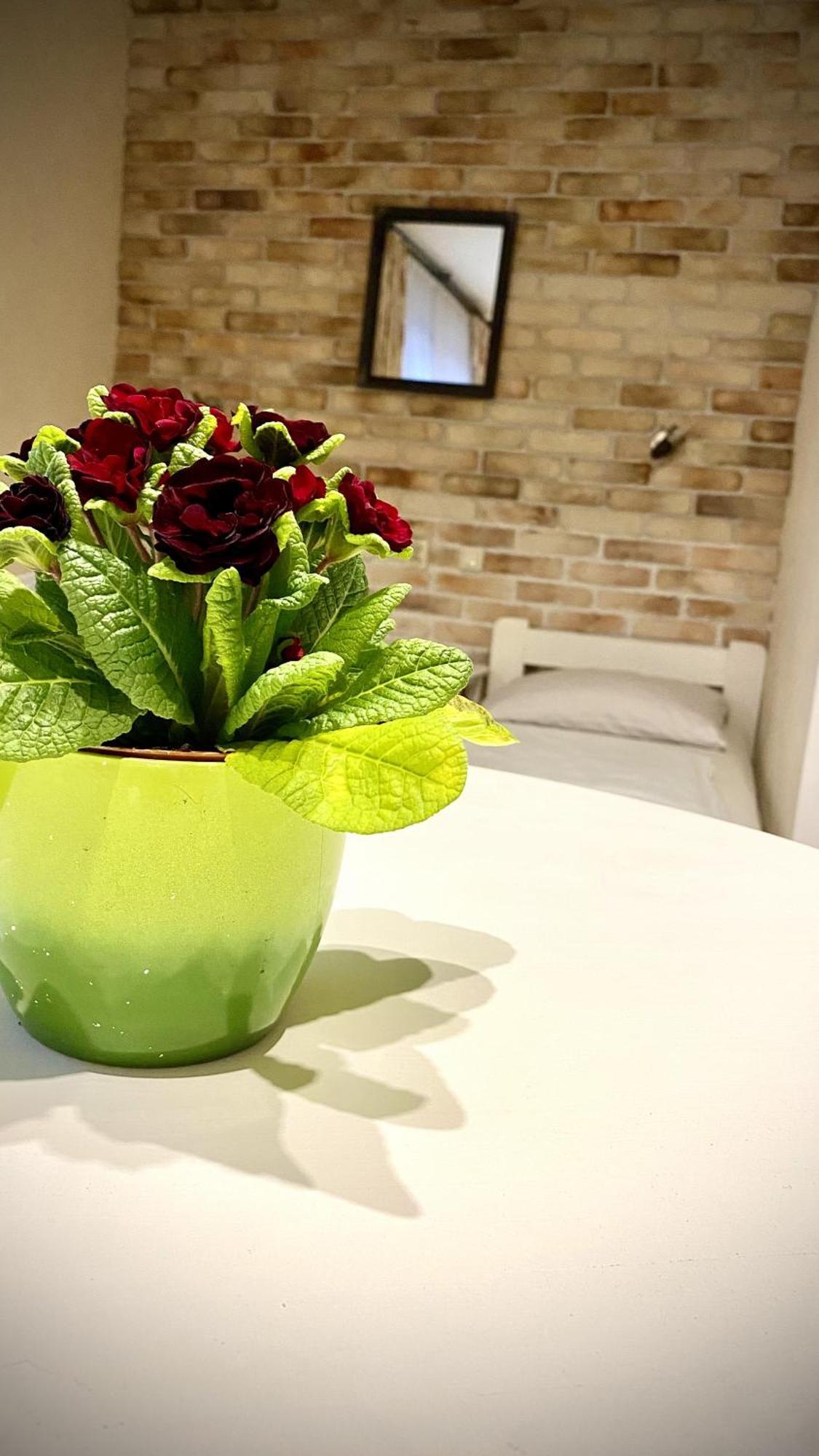 Villa Pod Orzechem W Zaniemyslu 외부 사진